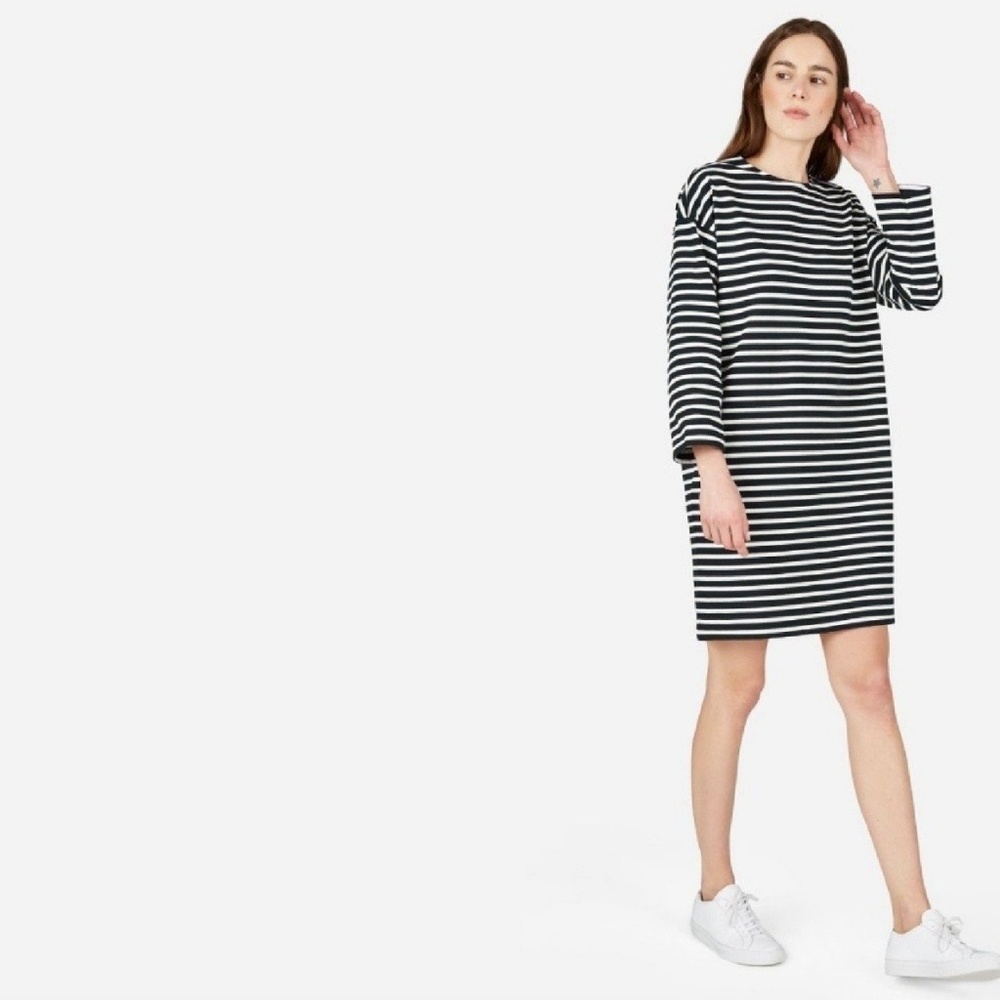 Everlane | Black & White Striped Shift Dress